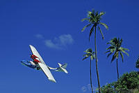 Brazil, Salvador de Bahia, Catalina PBY-5A hydroplane. Flying around palm trees. Peter Stuyvesant Travel Odyssey 1993/1994.